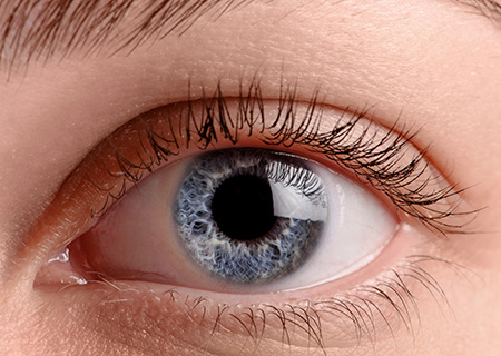 Patologias oculares